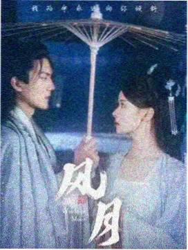 沉默的证词剧集封面